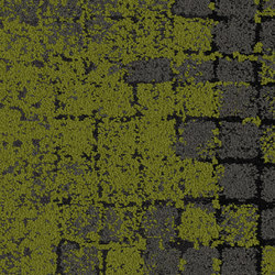 Human Connections 8341004 Moss Onyx Moss | Carpet tiles | Interface