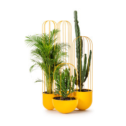 Cacti planter | Plant pots | nola
