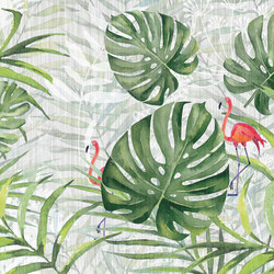 jungle | tropicalia | Wandbilder / Kunst | N.O.W. Edizioni