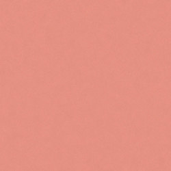 Maiolicata Pink 10X60 | M1060P | Ceramic tiles | Ornamenta