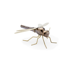 Fauna Dragonfly | Living room / Office accessories | Mambo Unlimited Ideas