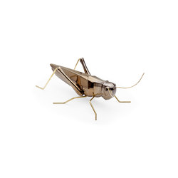 Fauna Grasshopper | Objects | Mambo Unlimited Ideas