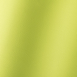 Bologna minze 018504 | Synthetic woven fabrics | AKV International