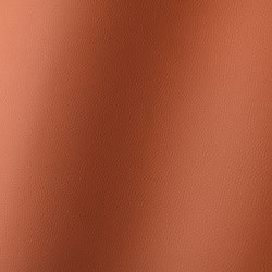 Torino sherry 019792 | Synthetic woven fabrics | AKV International