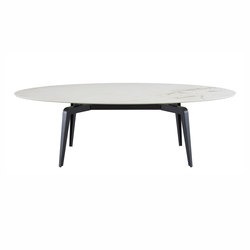 Odessa | Oval Dinig Table Black Lacquered Base | Dining tables | Ligne Roset