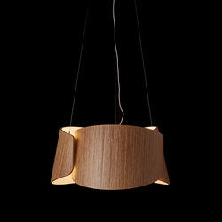 Trefoil Oak | Suspended lights | Saas Instruments