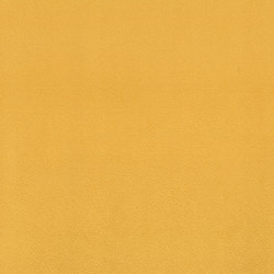 Scot | Colour Sunflower 14 | Drapery fabrics | DEKOMA