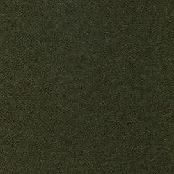 Wool | Colour Olive 31