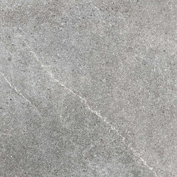 Stones & More 2.0 | stone burl grey | Ceramic tiles | FLORIM