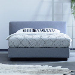 Basis 25 Come |  | Schramm