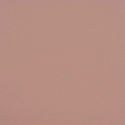 VALENCIA™ ROSÉ | Upholstery fabrics | SPRADLING