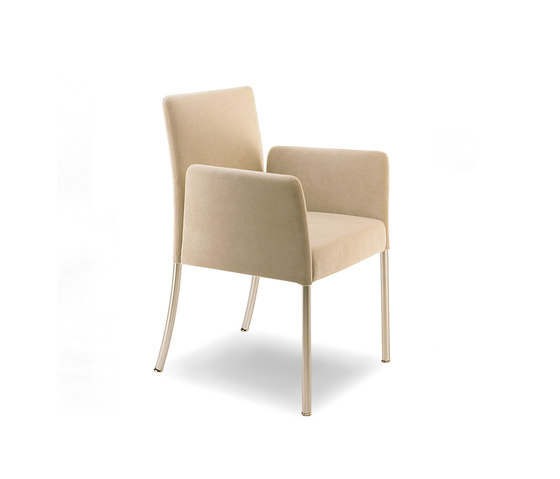 Jason chair | Armchairs | Walter Knoll