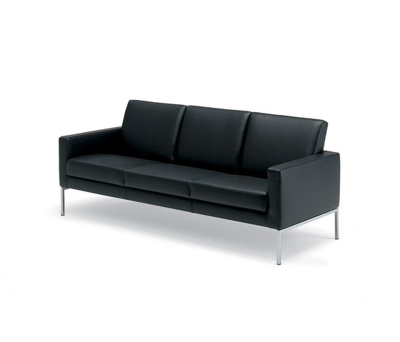 Leon sofa | Canapés | Walter Knoll