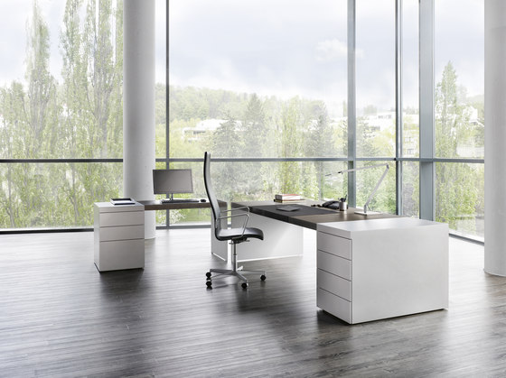 Size desk with container | Bureaux | RENZ