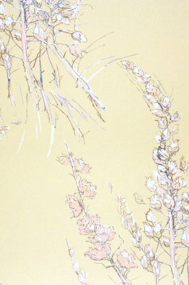 Wild Flowers 69-11143 wallpaper | Wall coverings / wallpapers | Cole and Son