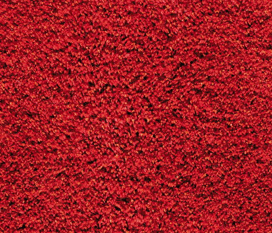 Stubb Red 115 | Formatteppiche | Kasthall