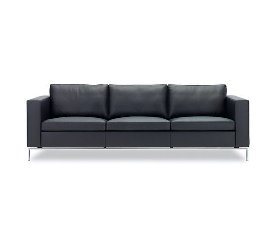 Foster 503 Sofa | Sofas | Walter Knoll