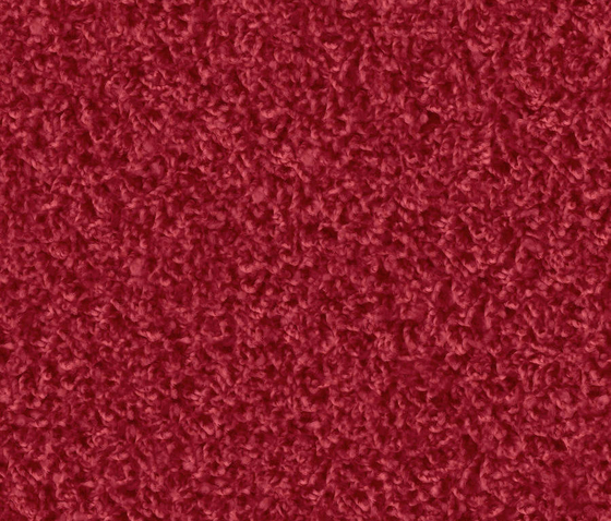 Poodle 1463 Vino Rosso by OBJECT CARPET | Rugs