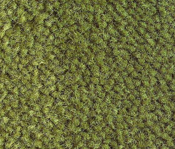 Pure 1205 | Rugs | OBJECT CARPET