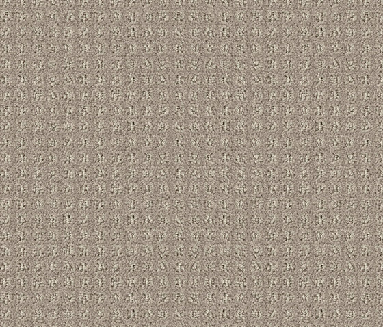 Squadra 1021 Champagner by OBJECT CARPET | Wall-to-wall carpets