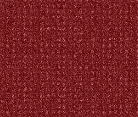 Squadra 1012 Ziegel by OBJECT CARPET | Wall-to-wall carpets