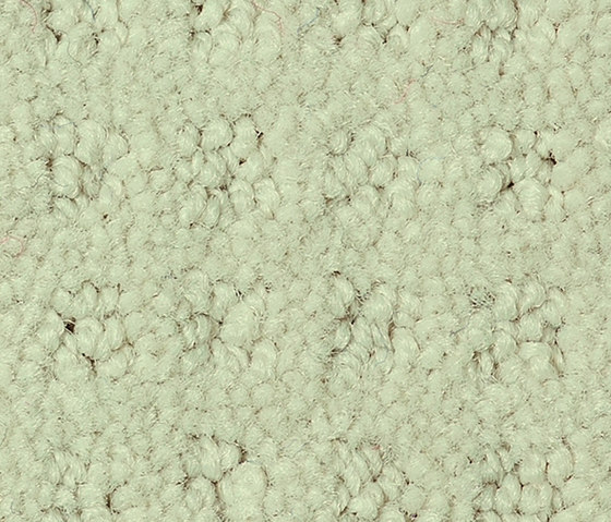 Squadra 1009 Pergament by OBJECT CARPET | Wall-to-wall carpets