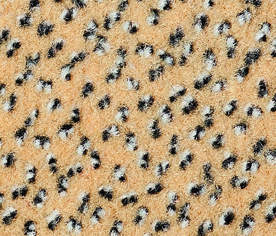 Punto 801 | Wall-to-wall carpets | OBJECT CARPET