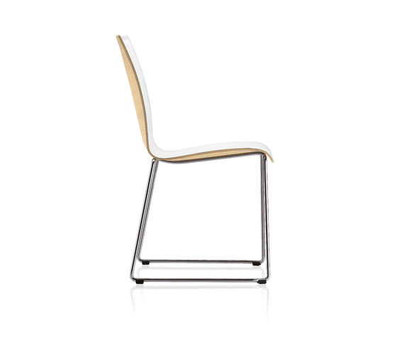 fina | Chairs | Brunner