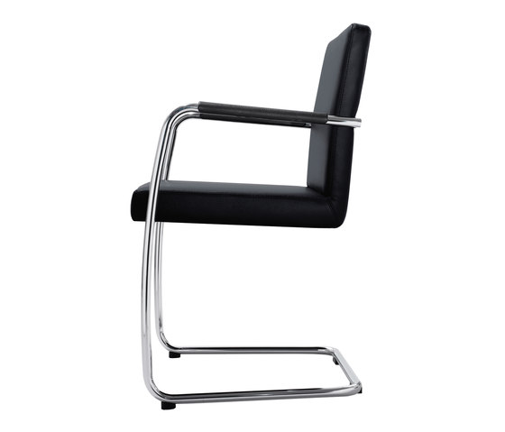 DEXTER | Chairs | Bene