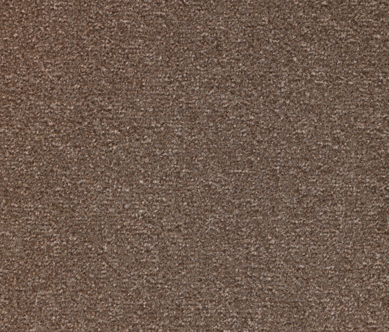 Concept 300 | Moquette | Carpet Concept