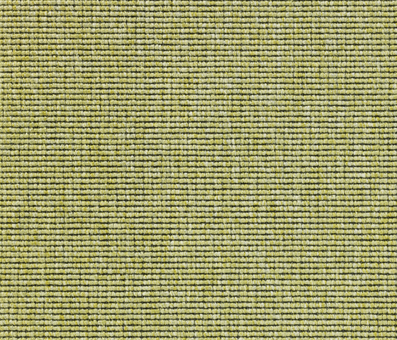Eco 1 6633 | Teppichböden | Carpet Concept