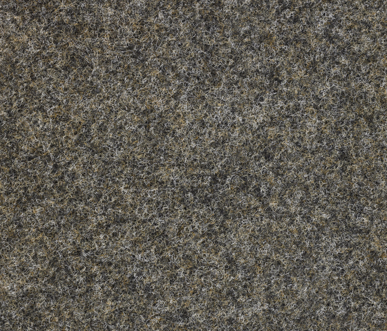 Tizo 1804 | Moquette | Carpet Concept