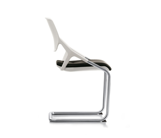 roxy | Chairs | Sedus Stoll