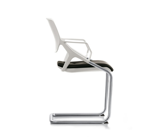 roxy | Chairs | Sedus Stoll