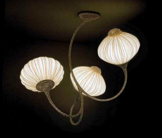 Palms 3 | Lámparas de suspensión | Aqua Creations
