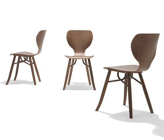 Tulipani chair | Chairs | Linteloo