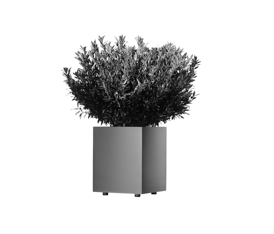 Palma Q 300 - Typ A | Vasi piante | Hess