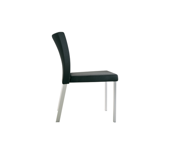Gallery Side Chair | Chaises | Segis
