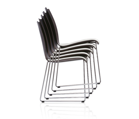 fina 6404 | Chairs | Brunner