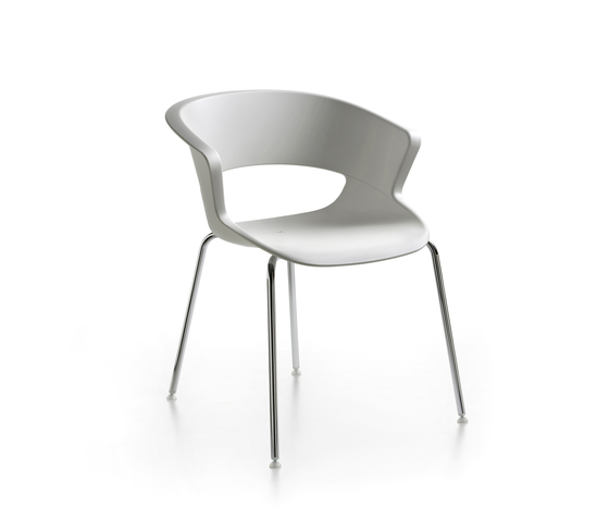 Zed 4 legs stackable in polypropylene | Chaises | Maxdesign
