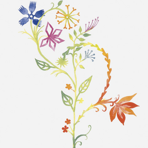 Primavera Colore 1 | Piastrelle ceramica | Ceramica Bardelli