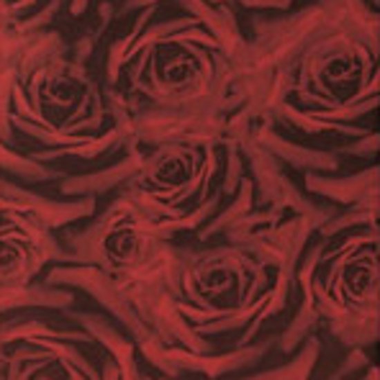 Rose rosse 75x25 | Piastrelle pareti | Iris Ceramica