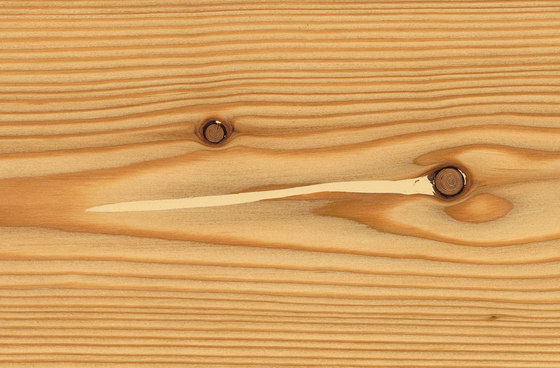 mafi LARCH Virgin wide-plank. brushed  |  natural oil | Wood flooring | mafi