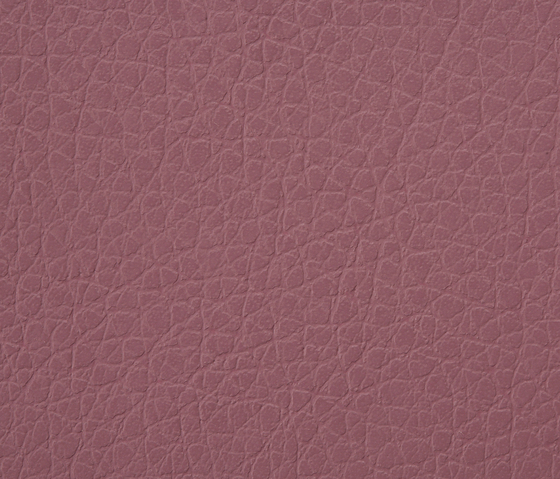 Kawa Deus® 102 micro-cuir | Tissus d'ameublement | BUVETEX INT.