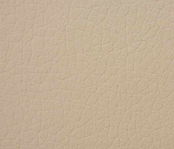 Kawa Deus® 118 microleather | Upholstery fabrics | BUVETEX INT.