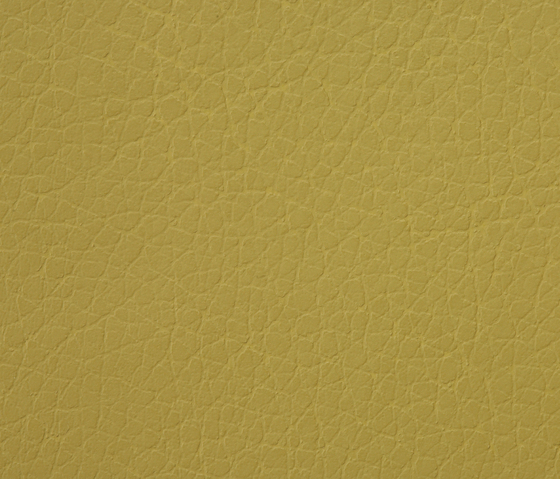 Kawa Deus® 223 micro-cuir | Tissus d'ameublement | BUVETEX INT.