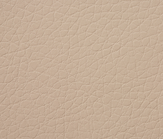 Kawa Deus® 303 microleather | Upholstery fabrics | BUVETEX INT.