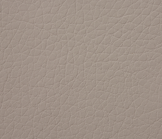 Kawa Deus® 305 microleather | Upholstery fabrics | BUVETEX INT.
