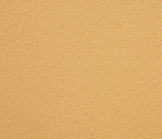 Kawa Deus® 311 microleather | Upholstery fabrics | BUVETEX INT.