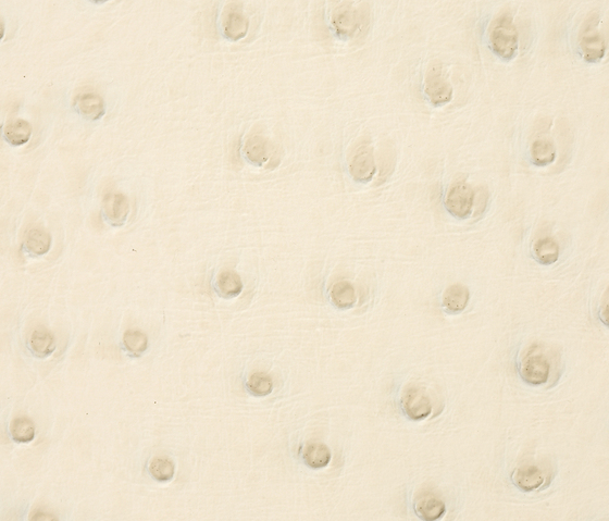 Ostrich 0001 PU leather | Upholstery fabrics | BUVETEX INT.